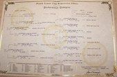 Marty's pedigree