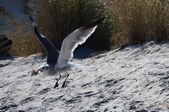 Enlarge photo 1