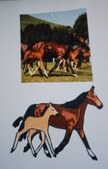 Enlarge photo 17