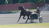 Enlarge photo 23