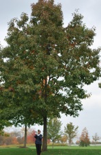 Enlarge photo 45