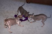 Enlarge photo 13