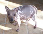 Enlarge photo 16