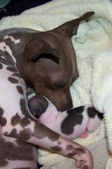 Enlarge photo 22