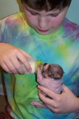 Enlarge photo 19