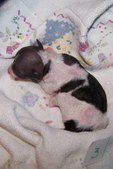 Enlarge photo 22