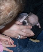 Enlarge photo 15