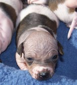 Enlarge photo 17