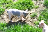 Enlarge photo 19