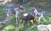 Enlarge photo 12