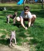 Enlarge photo 11