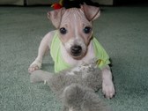 Enlarge photo 7