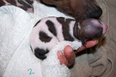 Enlarge photo 22