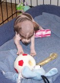 Enlarge photo 15