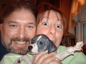 Puppy 1 - Desmond