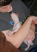 Enlarge photo 4