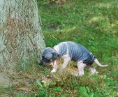 Enlarge photo 13