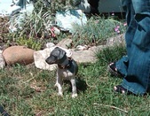 Enlarge photo 3