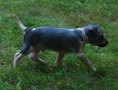 Enlarge photo 12