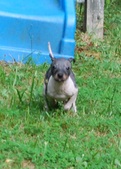 Enlarge photo 2