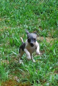 Enlarge photo 5