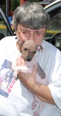 Puppy 6 - Hurley
