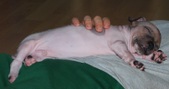 Enlarge photo 16