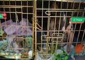 Enlarge photo 3