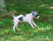 Enlarge photo 23