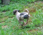 Enlarge photo 5