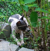 Enlarge photo 13