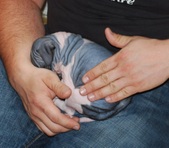 Enlarge photo 19