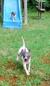 Enlarge photo 2