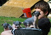 Enlarge photo 9