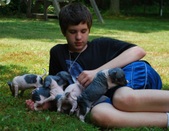 Enlarge photo 22