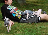 Enlarge photo 11