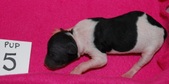 Enlarge photo 17