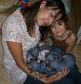 Enlarge photo 19