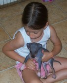 Enlarge photo 7