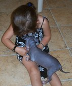 Enlarge photo 3