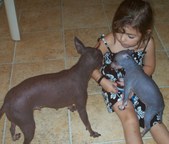 Enlarge photo 2