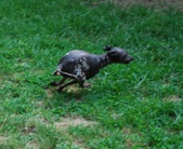 Enlarge photo 2