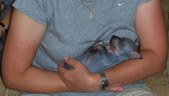 Enlarge photo 22