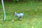 Enlarge photo 8