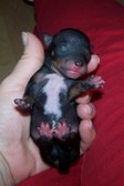 Enlarge photo 5