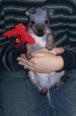 Enlarge photo 19