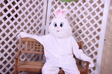 Easter Bunny Photos At Marion Ar