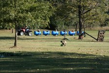 Enlarge photo 29
