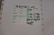 Enlarge photo 13