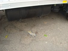 Enlarge photo 14